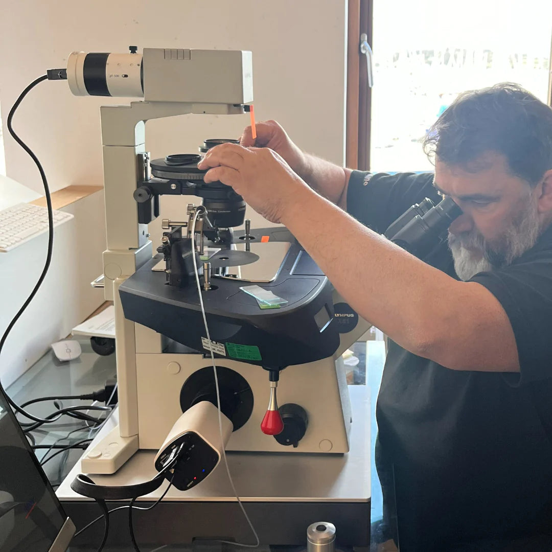 Lab Class Microscope Understanding Laboratory Microscopy Training Course – Labsynergy