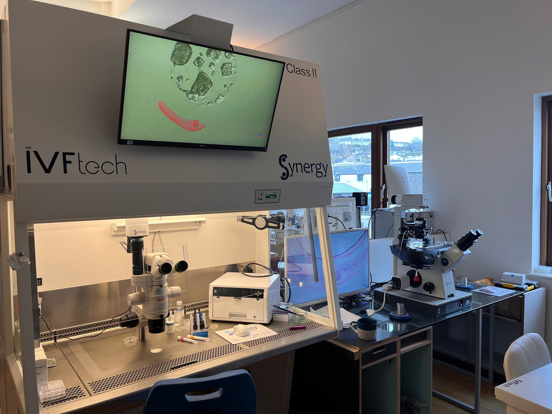 How to Set Up for Parfocality