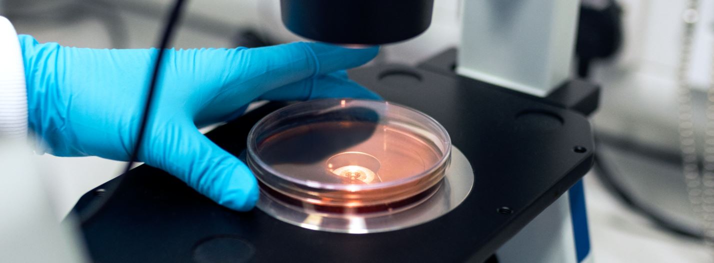 Cell Culture – Labsynergy