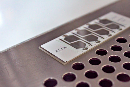 Sperm Counting Chamber