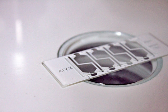 Sperm Counting Chamber