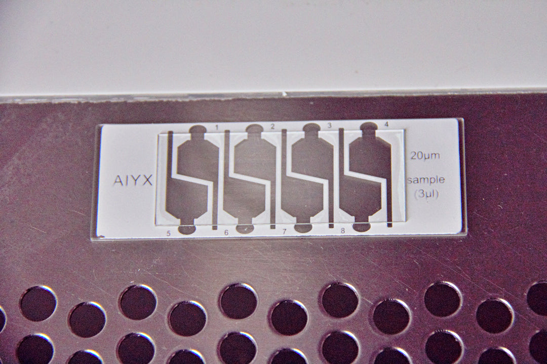 Sperm Counting Chamber