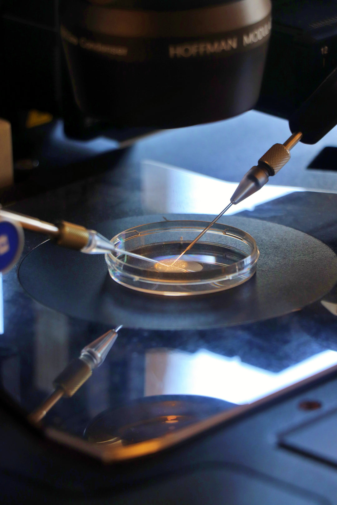 Understanding Laboratory Microscopy Training Course