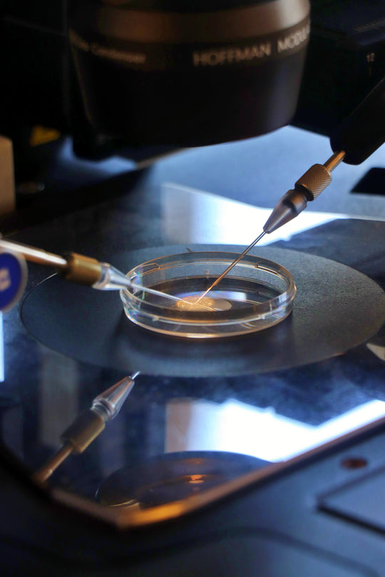 Understanding Laboratory Microscopy Training Course