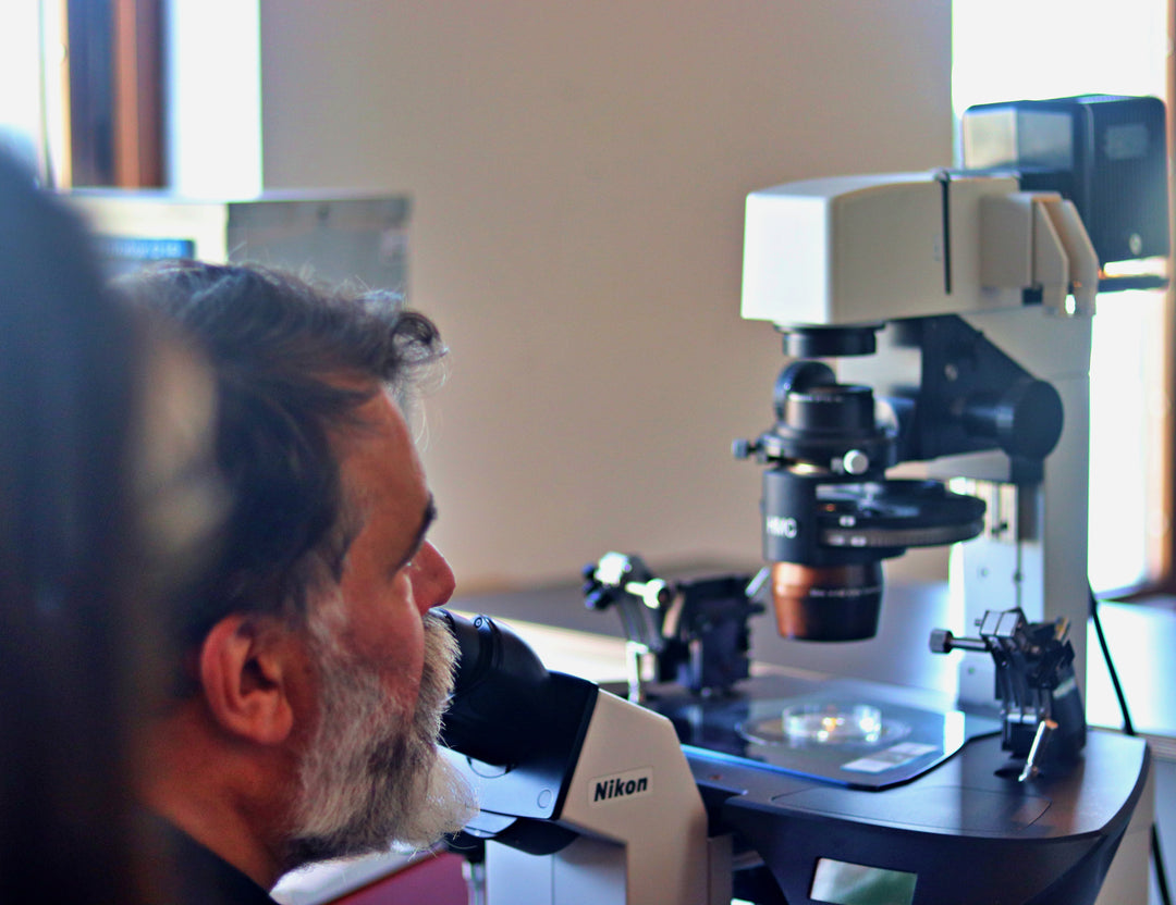 Understanding Laboratory Microscopy Training Course
