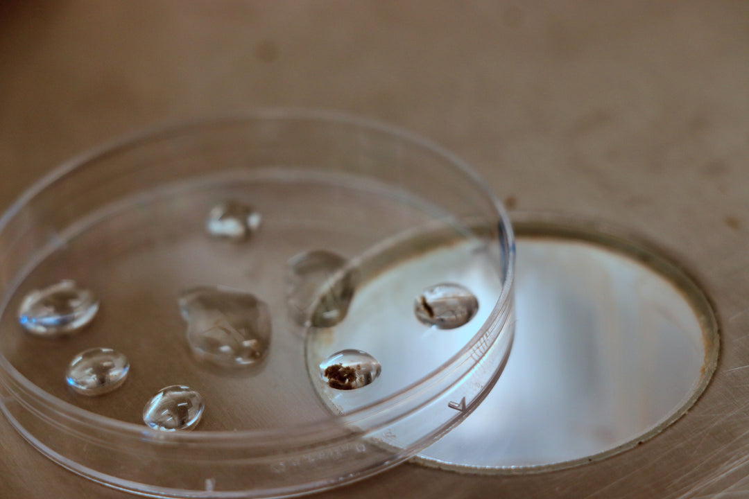 Understanding Laboratory Microscopy Training Course