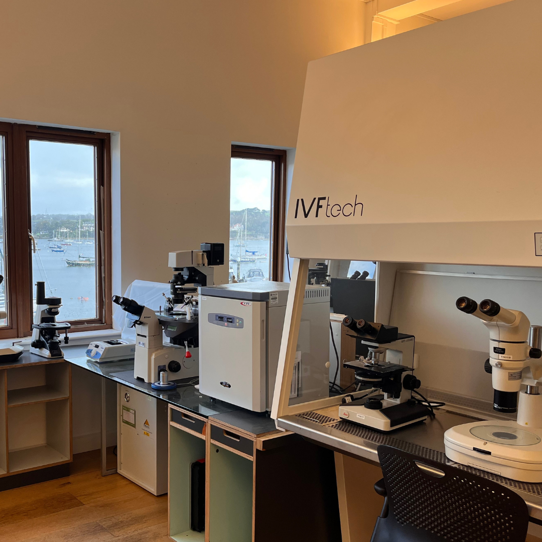 Understanding Laboratory Equipment & Servicing Training Course – Labsynergy