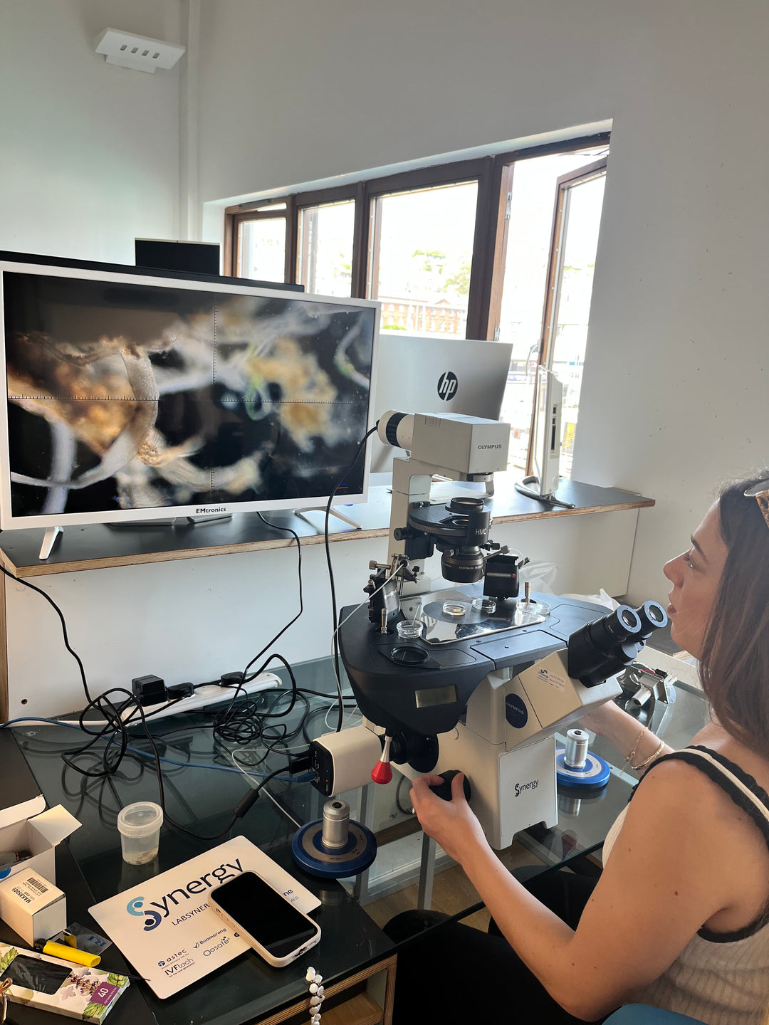 Lab Microscope Course Focus Understanding Laboratory Microscopy Training Course – Labsynergy