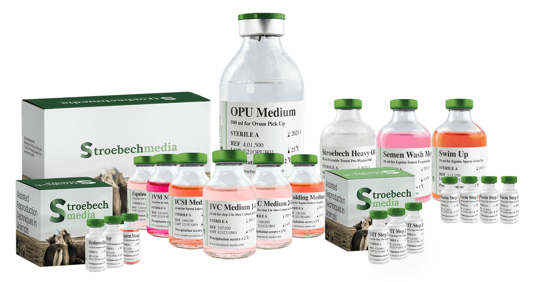 Equine - Vitrification Kit