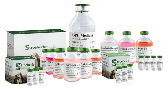 Equine - Vitrification Kit