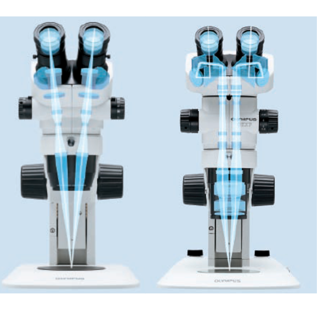 Understanding Laboratory Microscopy Training Course – Labsynergy