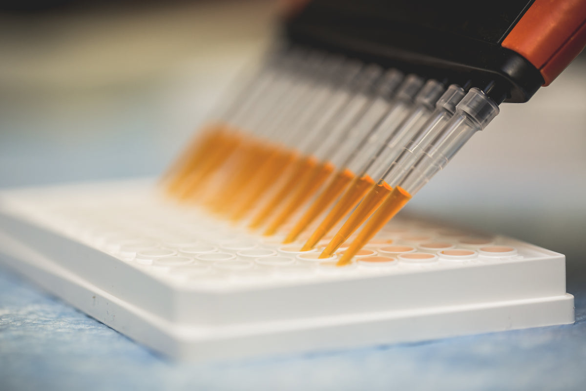 Cell Culture – Labsynergy