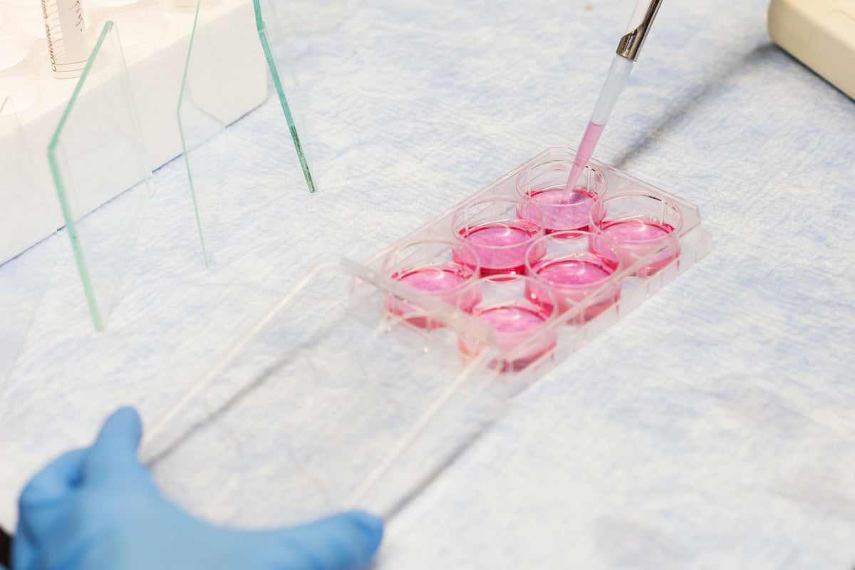 Machine Cell Synergy Cell Therapy – Labsynergy