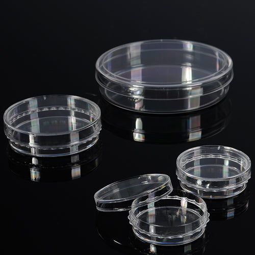 Cell Culture Dishes