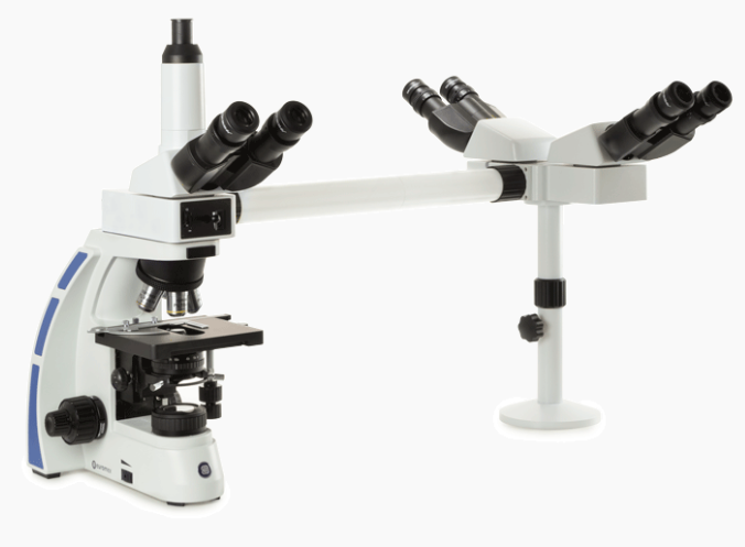 Oxion 4/10/40/100x - Upright Microscope