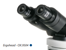 Oxion 4/10/40/100x - Upright Microscope