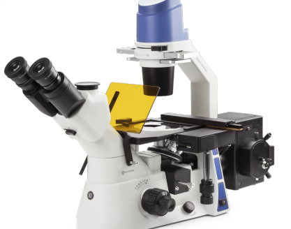 Oxion - Inverted Microscope