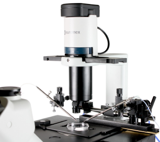 Oxion - Inverted Microscope