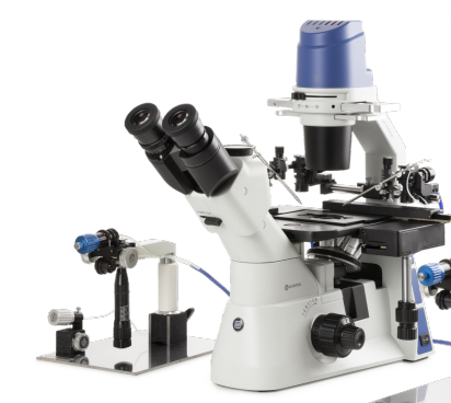 Oxion - Inverted Microscope