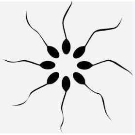 AIYX - Disposable Sperm Counting Chamber - IVFSynergy